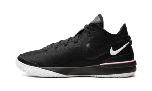 Nike Zoom LeBron NXXT Gen "Black/White" DR8784 003