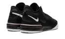 Nike Zoom LeBron NXXT Gen "Black/White" DR8784 003