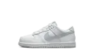 Dunk Low PS "White Pure Platinum" DH9756 102