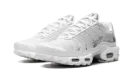 AIR MAX PLUS WMNS "White / Metallic Silver" FV0952 100