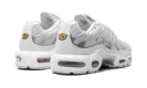 AIR MAX PLUS WMNS "White / Metallic Silver" FV0952 100