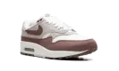 AIR MAX 1 WMNS "Smokey Mauve" DZ2628 104