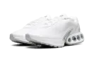 Air Max Dn WMNS "White Metallic Silver" Fj3145 102
