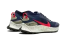 Pegasus Trail 3 GTX "GORE-TEX" DC8793 401