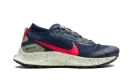 Pegasus Trail 3 GTX "GORE-TEX" DC8793 401