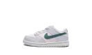 Dunk Low TD "Mineral Teal" FD1233 002