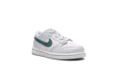 Dunk Low TD "Mineral Teal" FD1233 002