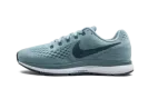 AIR ZOOM PEGASUS 34 MNS WMNS "Blue" 880560 408
