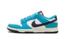Dunk Low Next Nature "N7 Dark Turquoise" HJ9088 488