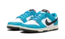 Dunk Low Next Nature "N7 Dark Turquoise" HJ9088 488