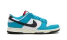 Dunk Low Next Nature "N7 Dark Turquoise" HJ9088 488
