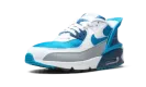 Air Max 90 FlyEase GS CV0526 103