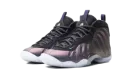 Air Foamposite One "Eggplant" FJ1258 001
