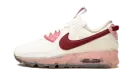 AIR MAX 90 TERRASCAPE MNS WMNS "Pomegranate" DC9450 100