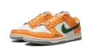 Dunk Low "Florida A&M" DR6188 800