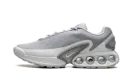 Air Max Dn "Wolf Grey" DV3337 007