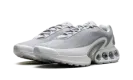 Air Max Dn "Wolf Grey" DV3337 007