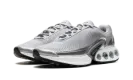 Air Max Dn Premium WMNS "Metallic Silver" HJ9638 001