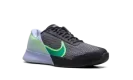 COURT AIR ZOOM VAPOR PRO 2 HC "OREGON" DR6191 004