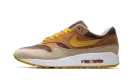 Air Max 1 "Ugly Duckling - Pecan" DZ0482 200