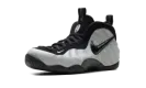 Air Foamposite Pro "Wolf Grey" HF0794 001