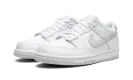 Dunk Low GS "Pure Platinum" DH9765 102