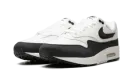 AIR MAX 1 WMNS "White Black" DZ2628 102