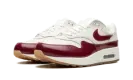 AIR MAX 1 LX WMNS "Team Red" FJ3169 100