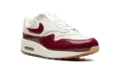 AIR MAX 1 LX WMNS "Team Red" FJ3169 100