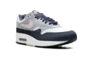 Nike Air Max 1 "Lilac Bloom" FD9082 001