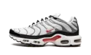 Air Max Plus "Photon Dust / Varsity Red" DM0032 002