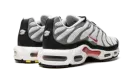 Air Max Plus "Photon Dust / Varsity Red" DM0032 002