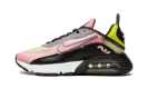 AIR MAX 2090 MNS WMNS "Champagne Cyber"