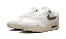 Air Max 1 "Sail Ironstone" DZ4494 100