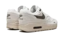 Air Max 1 "Sail Ironstone" DZ4494 100
