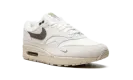 Air Max 1 "Sail Ironstone" DZ4494 100