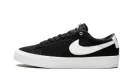 Zoom Blazer Low Pro GT SB DC7695 002