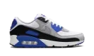 Air Max 90 "Hyper Royal" DM0029 112