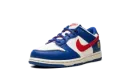 Dunk Low PS NN "Superhero" FD0673 400