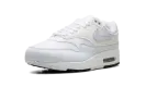 WMNS NIKE AIR MAX 1 "FOOTBALL GREY" DZ2628-105