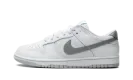 Dunk Low SE "Winter Storm" HQ3619 121