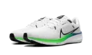 Air Zoom Pegasus 40 "Platinum Tint Green Strike" DV3853 006