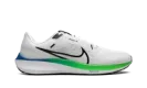 Air Zoom Pegasus 40 "Platinum Tint Green Strike" DV3853 006