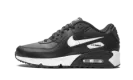 Air Max 90 LTR (GS) CD6864 010