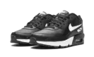 Air Max 90 LTR (GS) CD6864 010