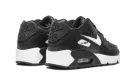 Air Max 90 LTR (GS) CD6864 010