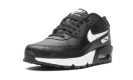 Air Max 90 LTR (GS) CD6864 010