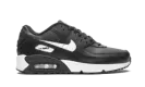 Air Max 90 LTR (GS) CD6864 010