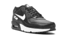 Air Max 90 LTR (GS) CD6864 010