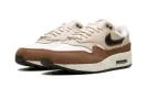 Air Max 1 Wmns "Velvet Brown" FZ3621 220